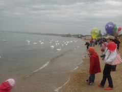 Лебеди на море в Анапе