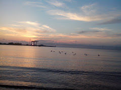 Лебеди на море в Анапе